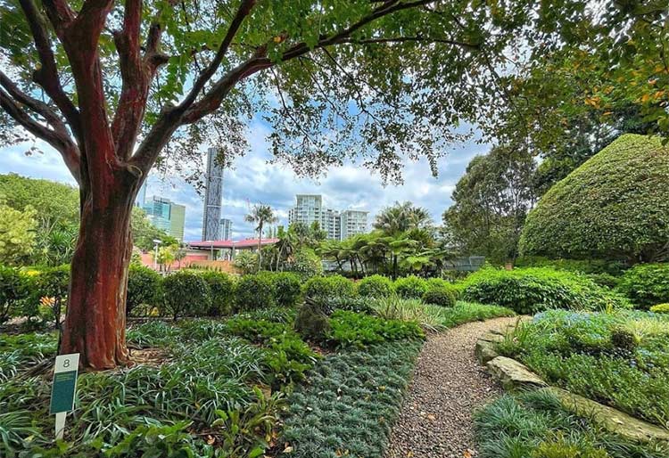 a landscape photo of roma st parkland