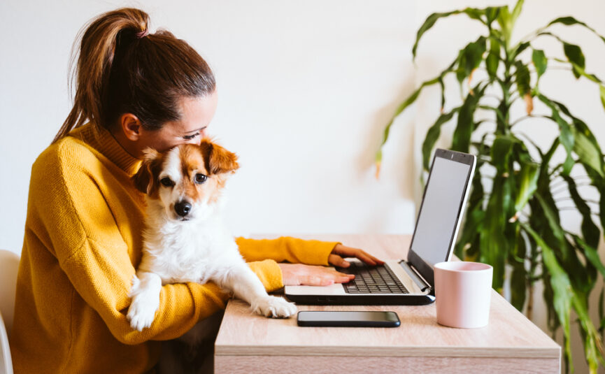 Pet friendly stay